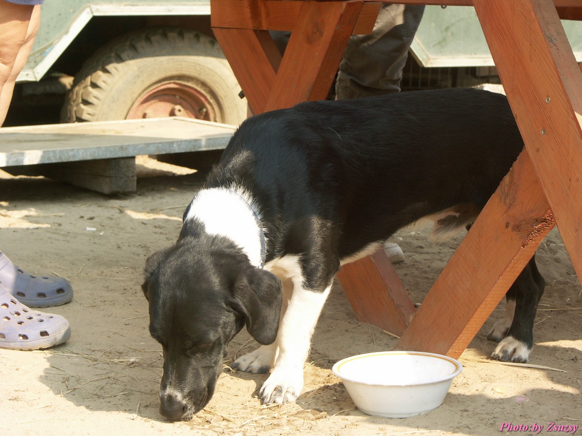 pict6942.jpg