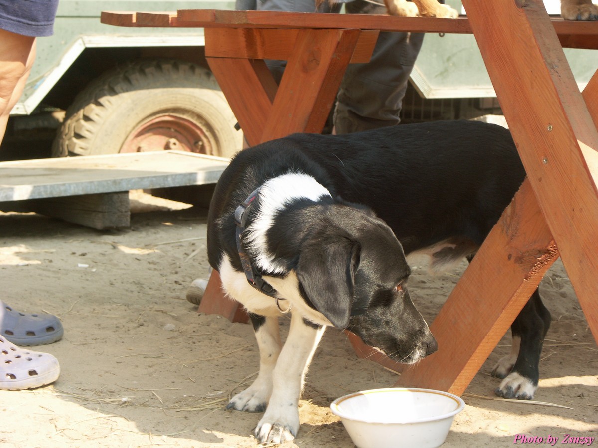 pict6943.jpg