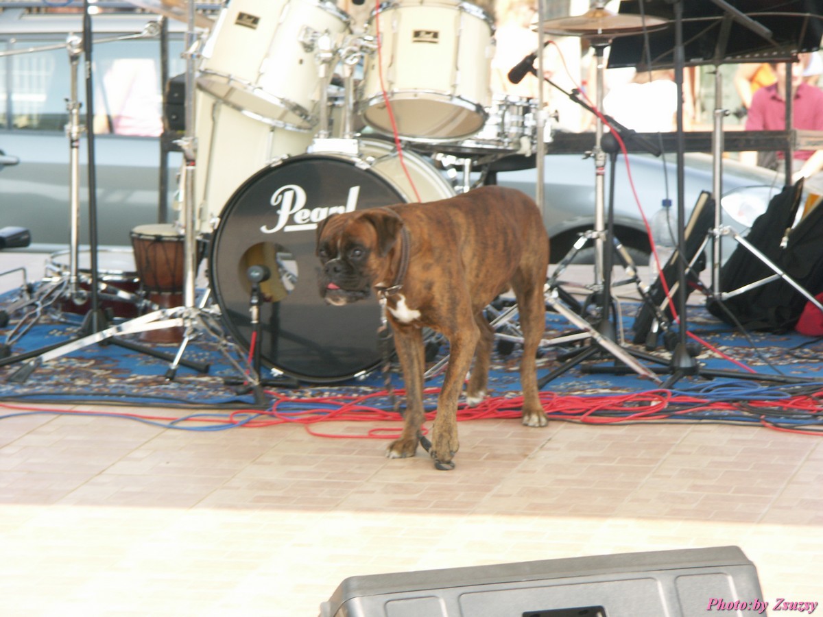 pict6961.jpg