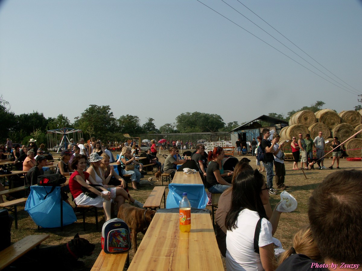 pict6987.jpg