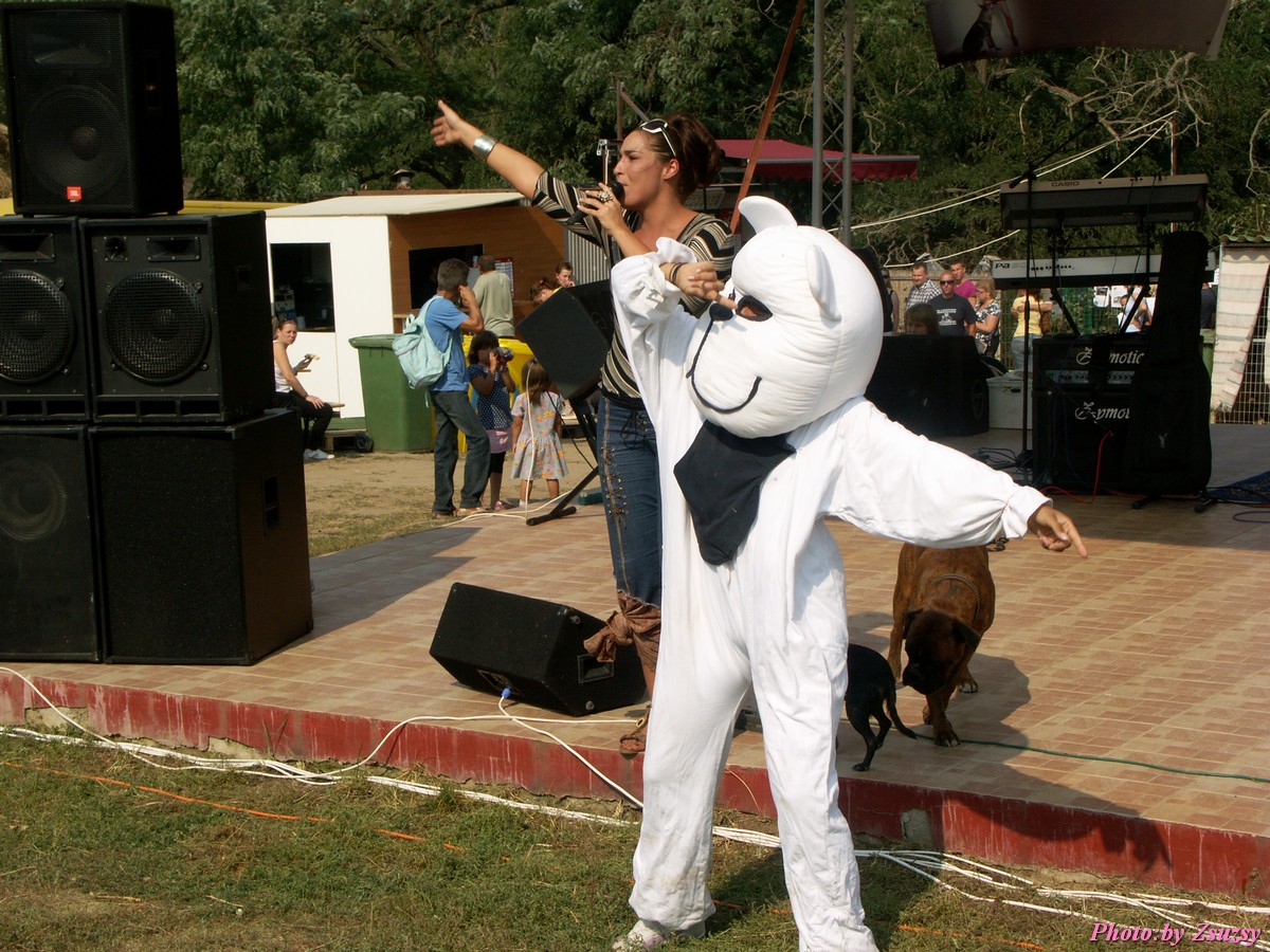 pict6993.jpg