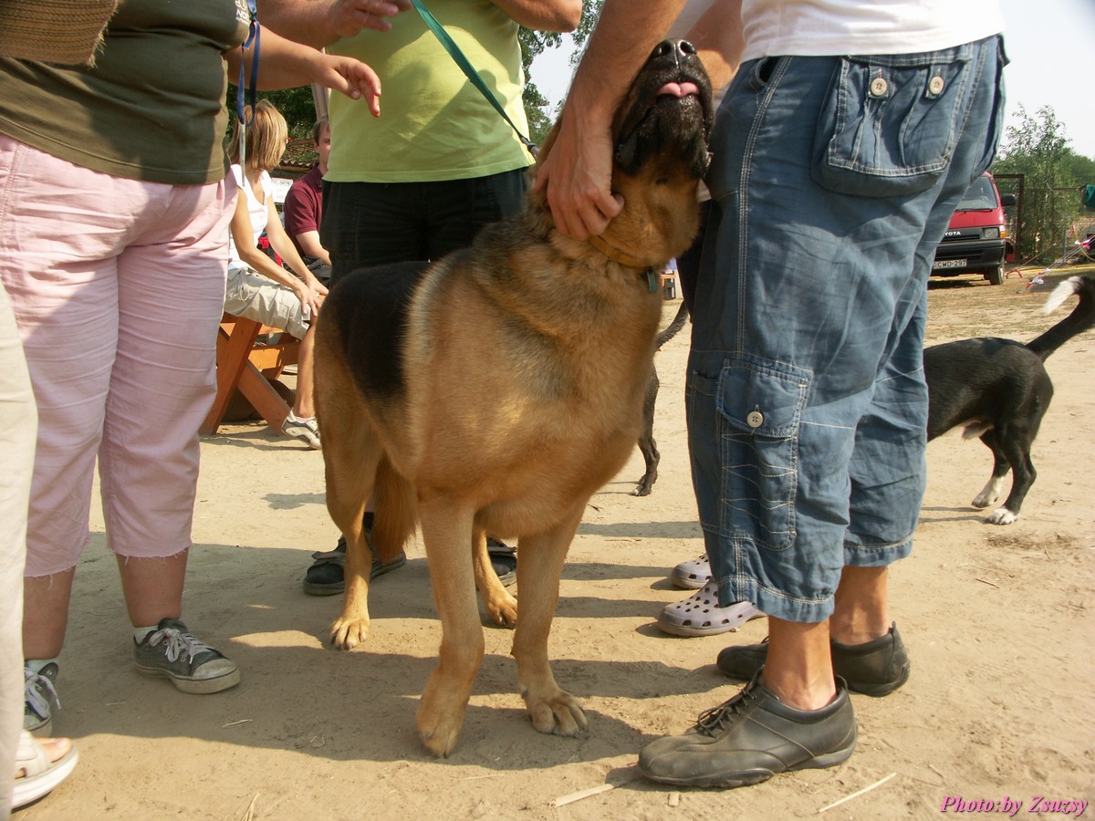 pict6996.jpg