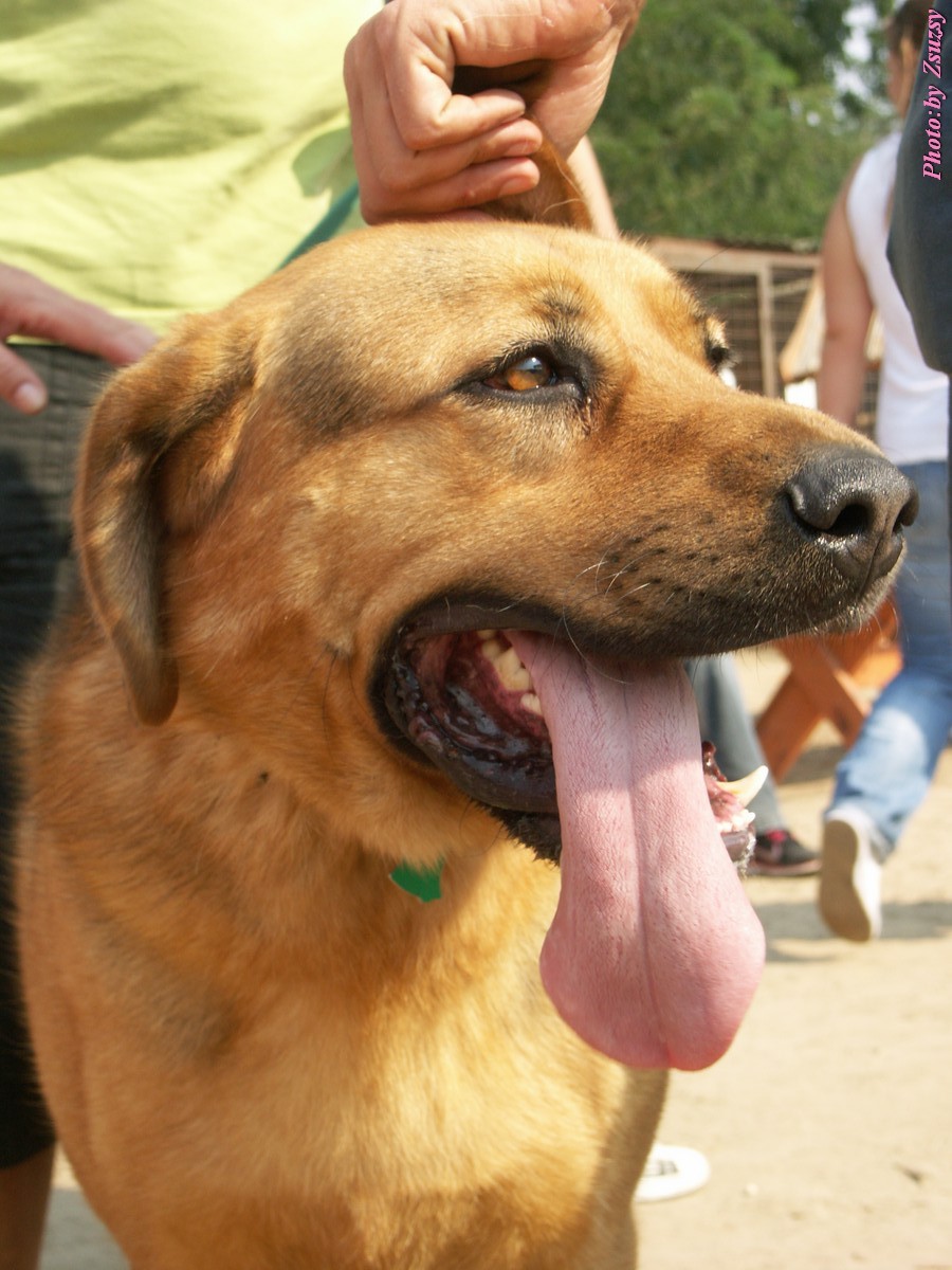 pict6999.jpg