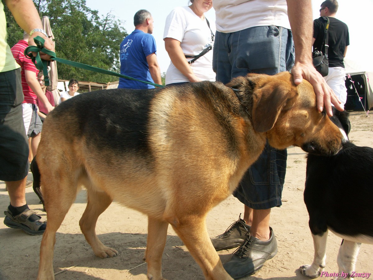 pict7000.jpg