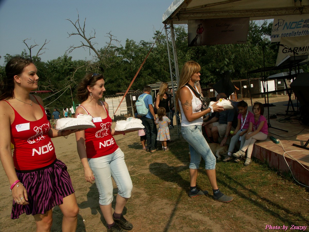 pict7021.jpg
