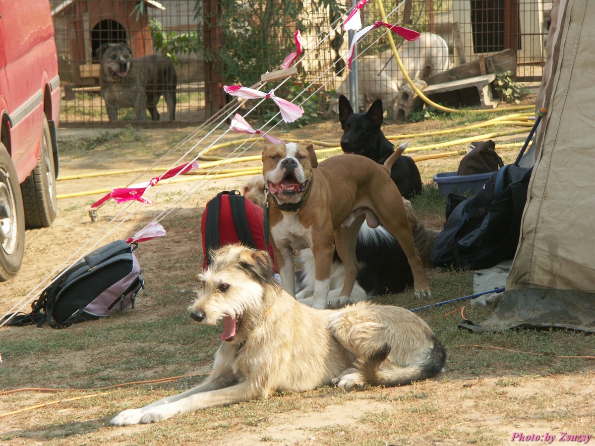 pict7065.jpg