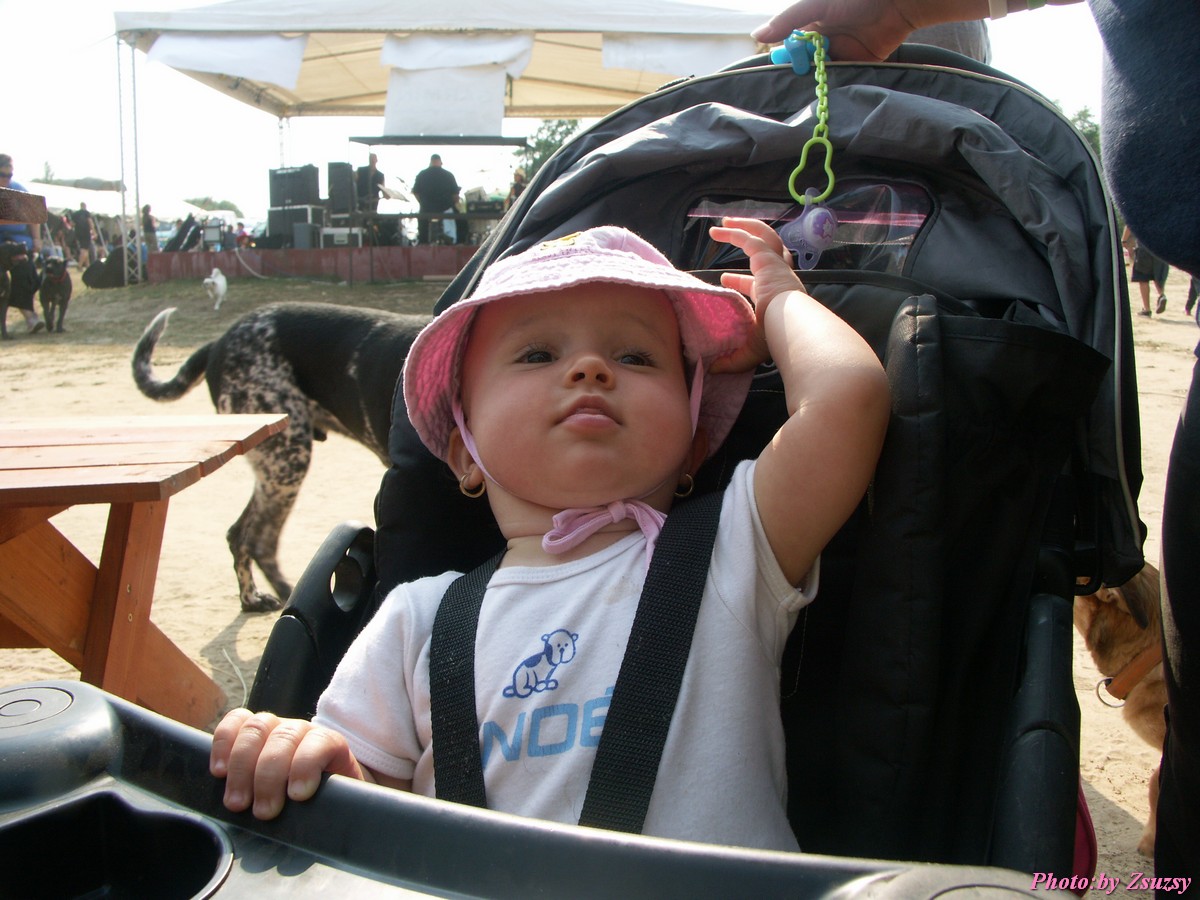 pict7075.jpg