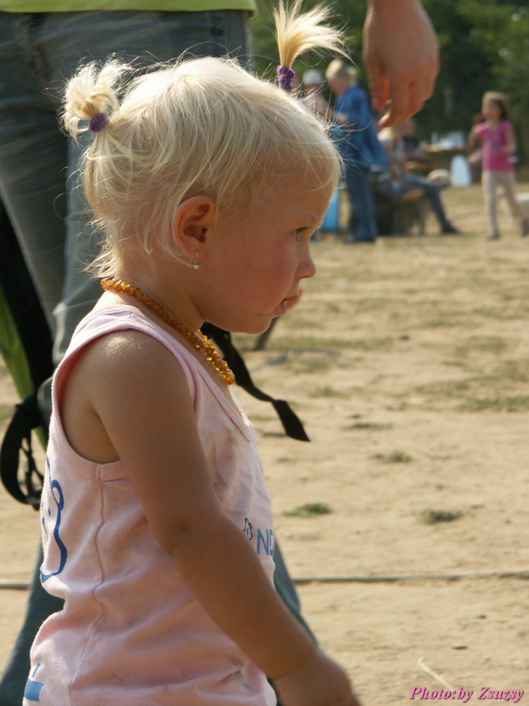 pict7085.jpg