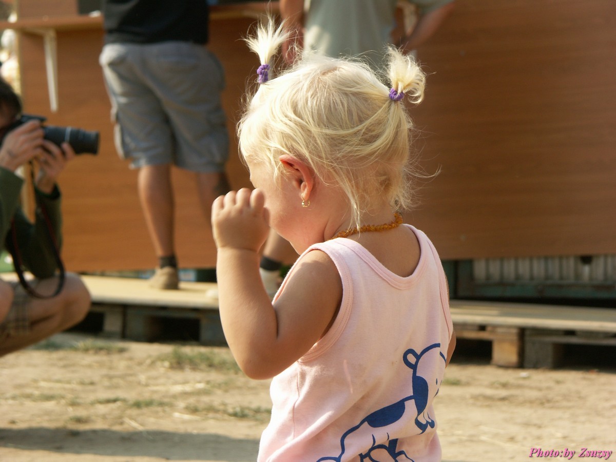 pict7086.jpg