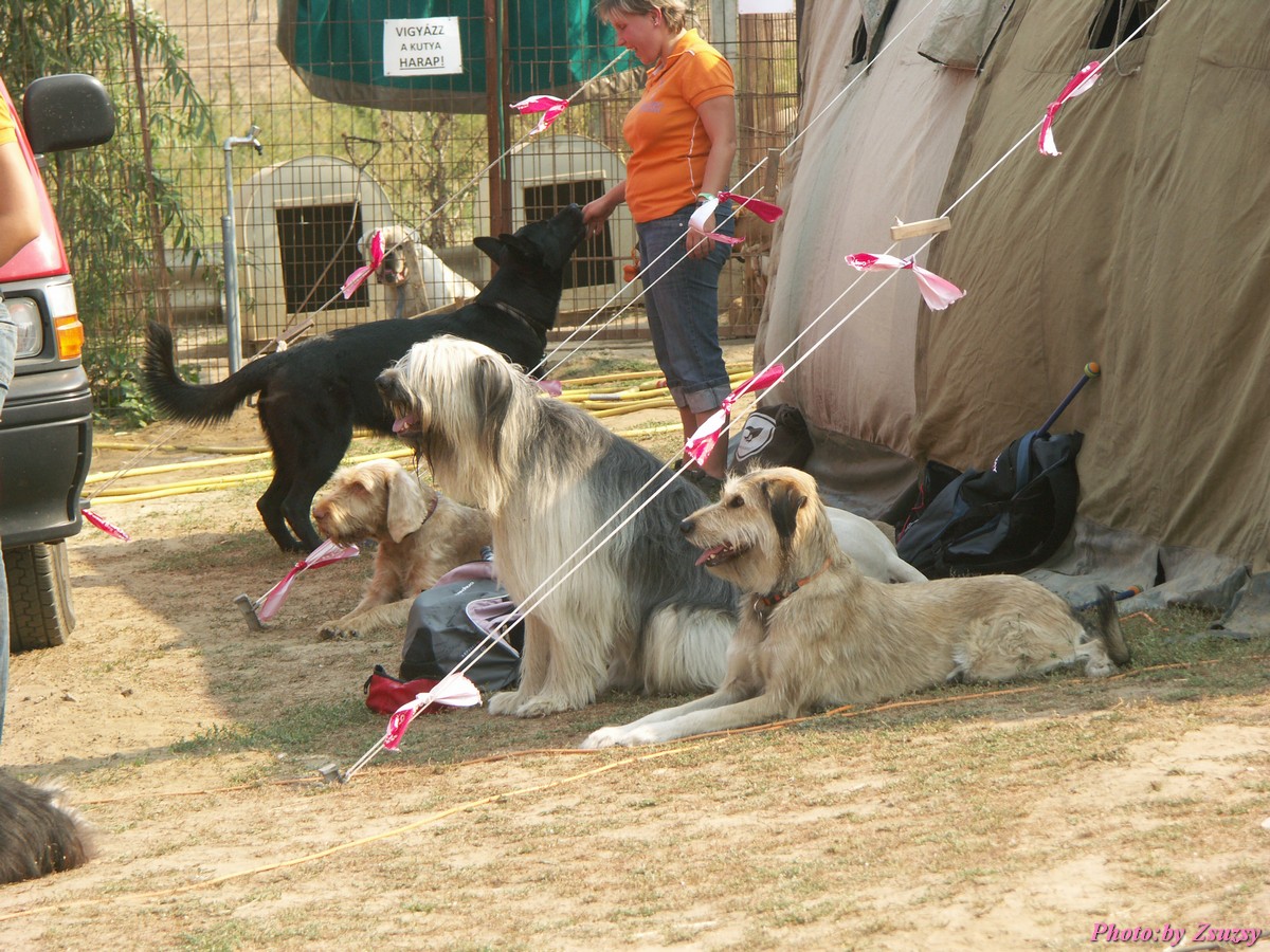 pict7100.jpg