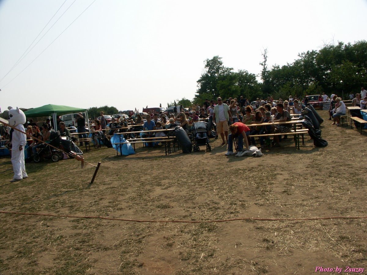 pict7102.jpg