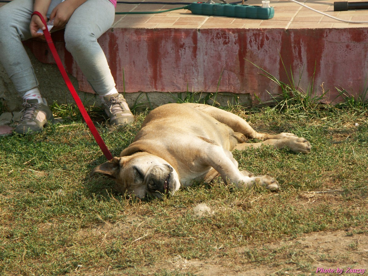 pict7105.jpg