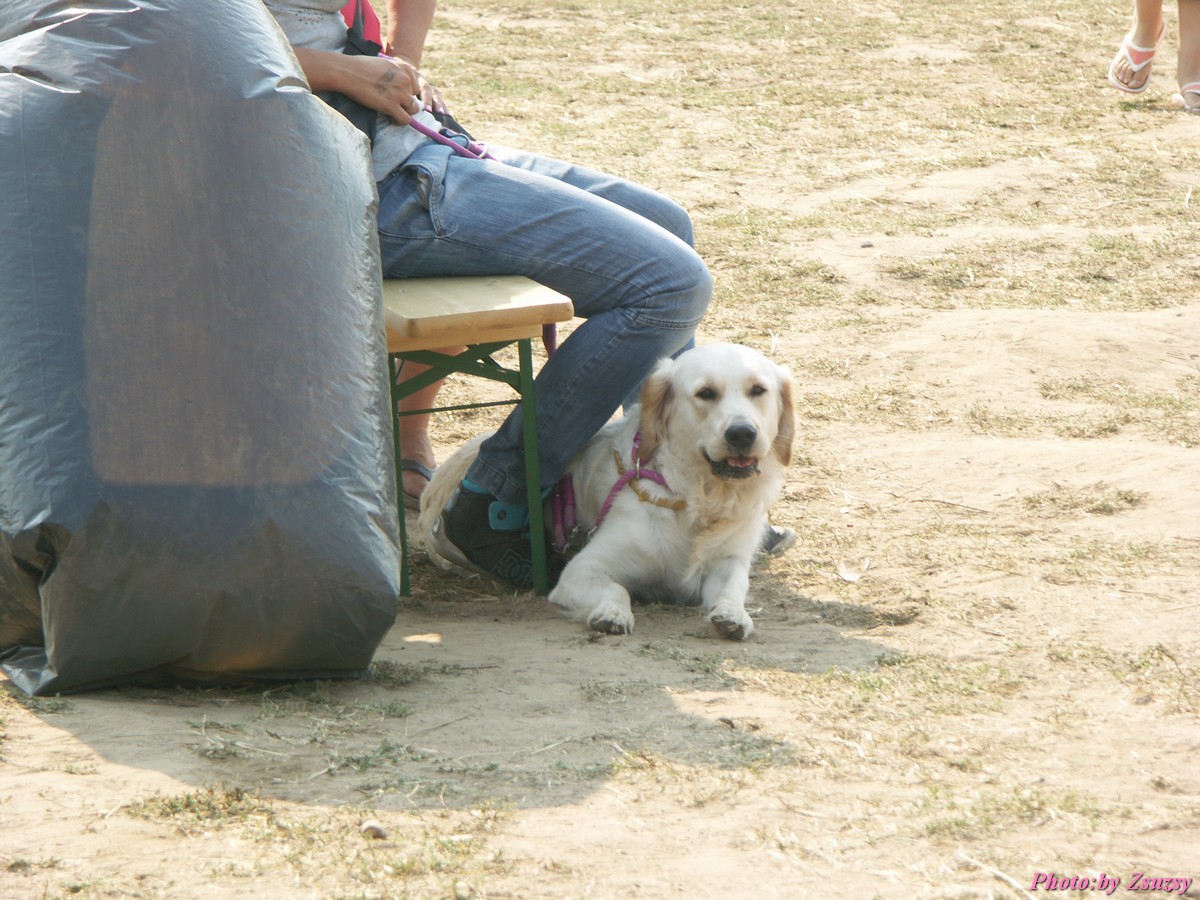 pict7111.jpg