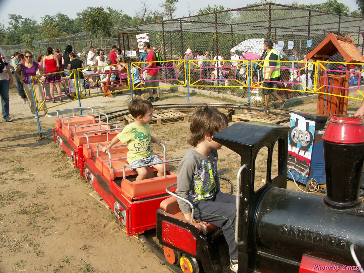 pict7117.jpg