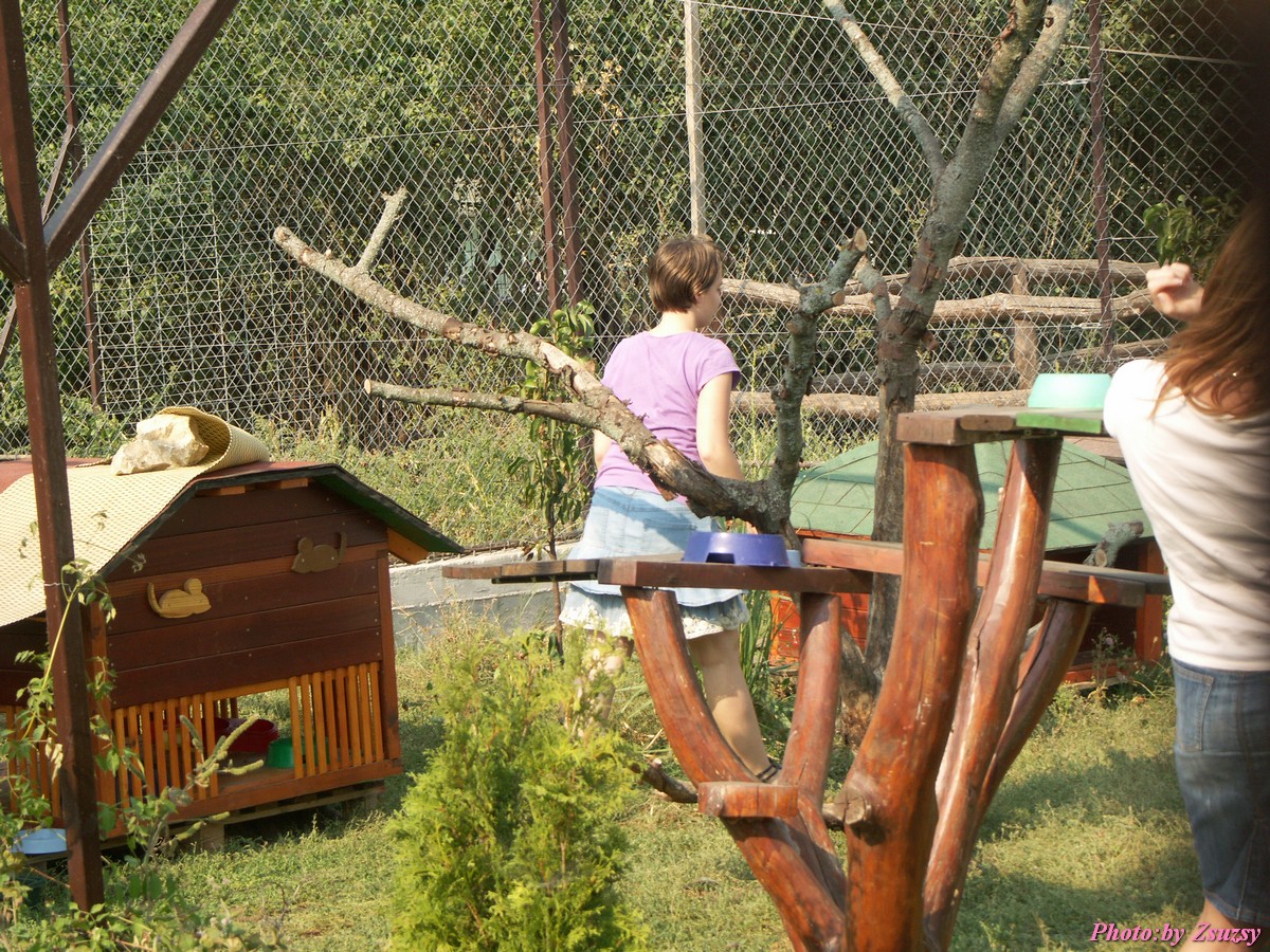 pict7120.jpg