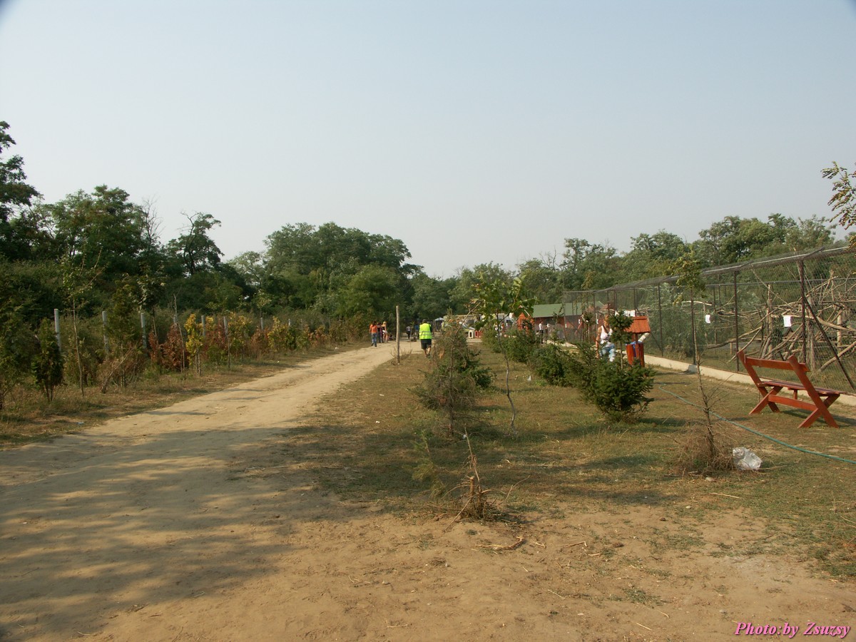 pict7122.jpg