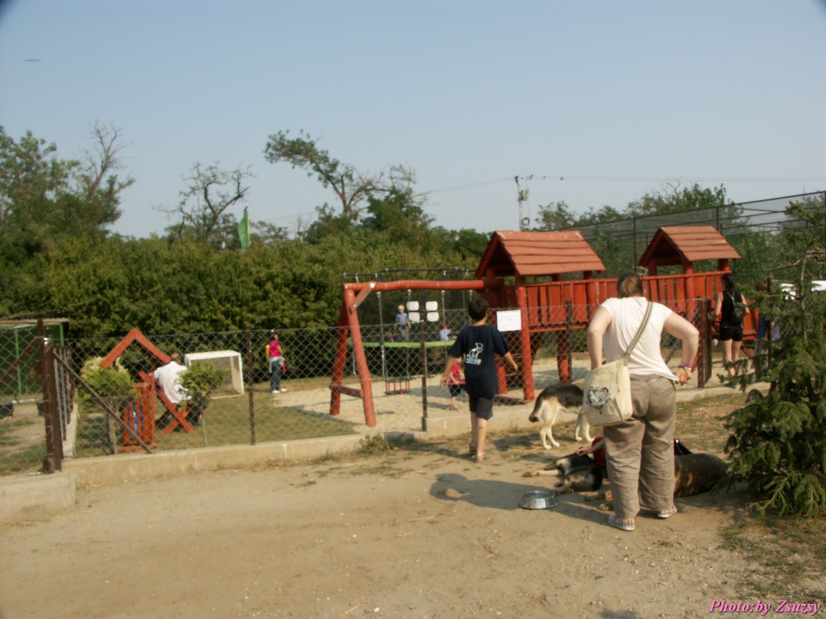 pict7129.jpg