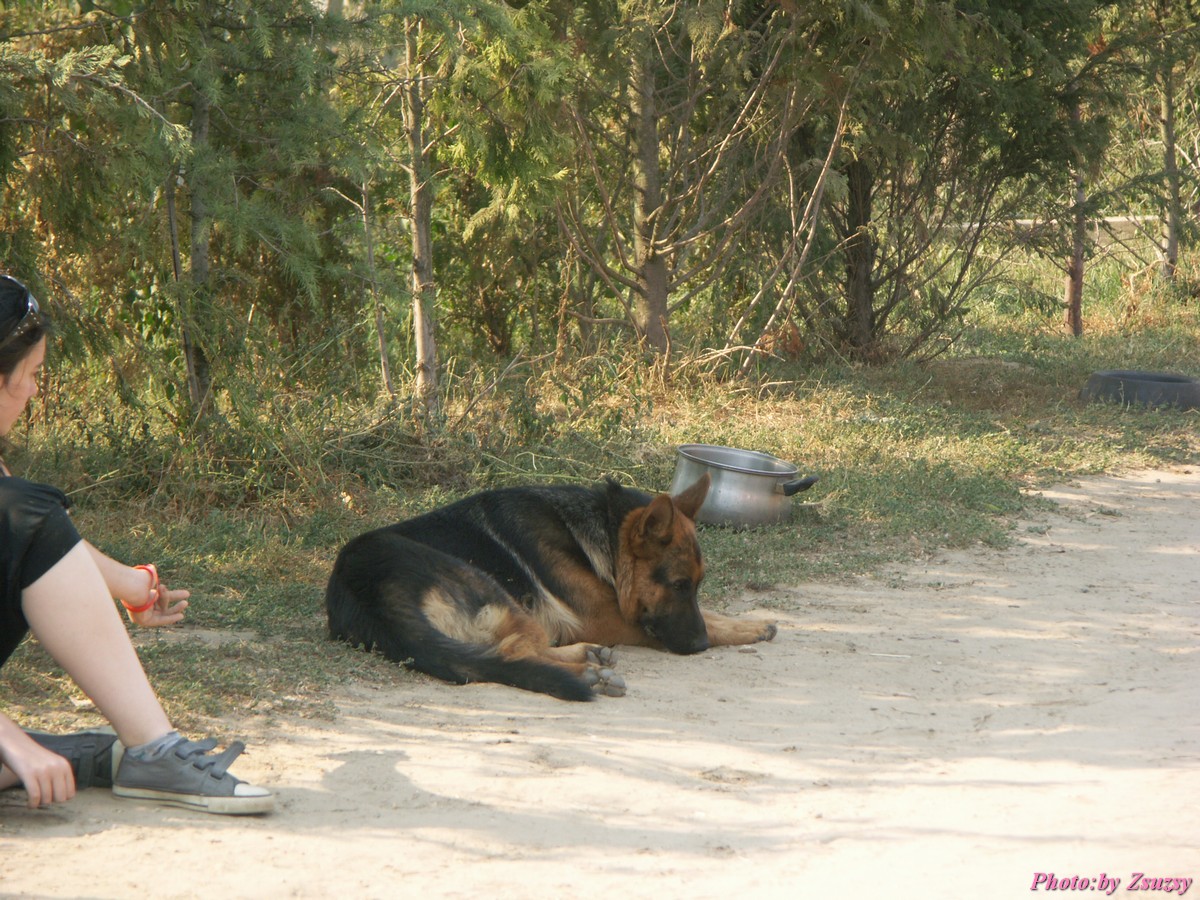 pict7131.jpg