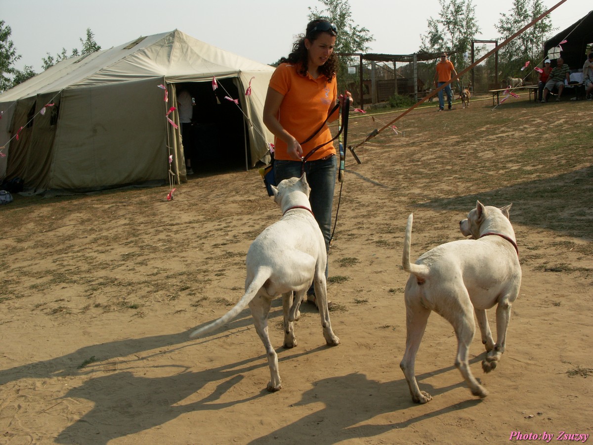 pict7143.jpg