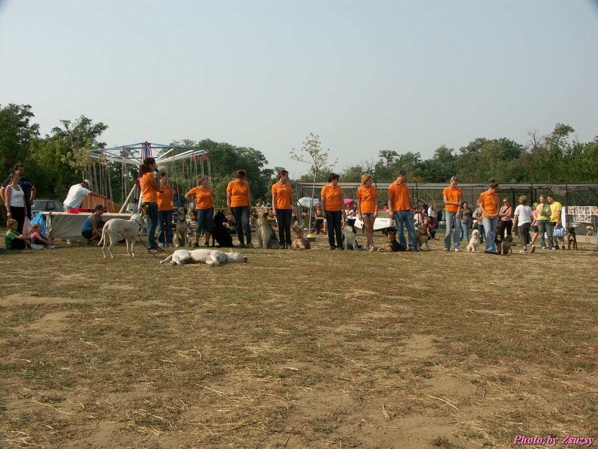 pict7154.jpg
