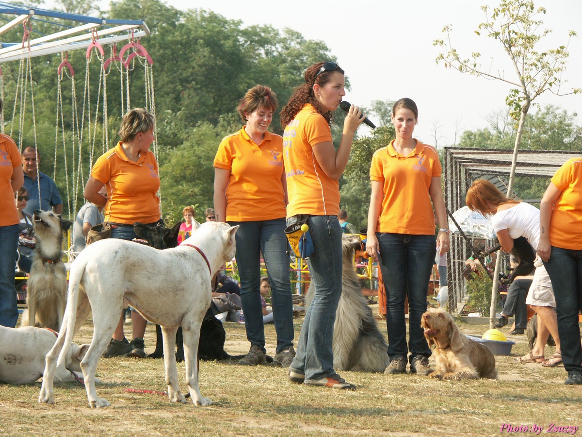 pict7155.jpg