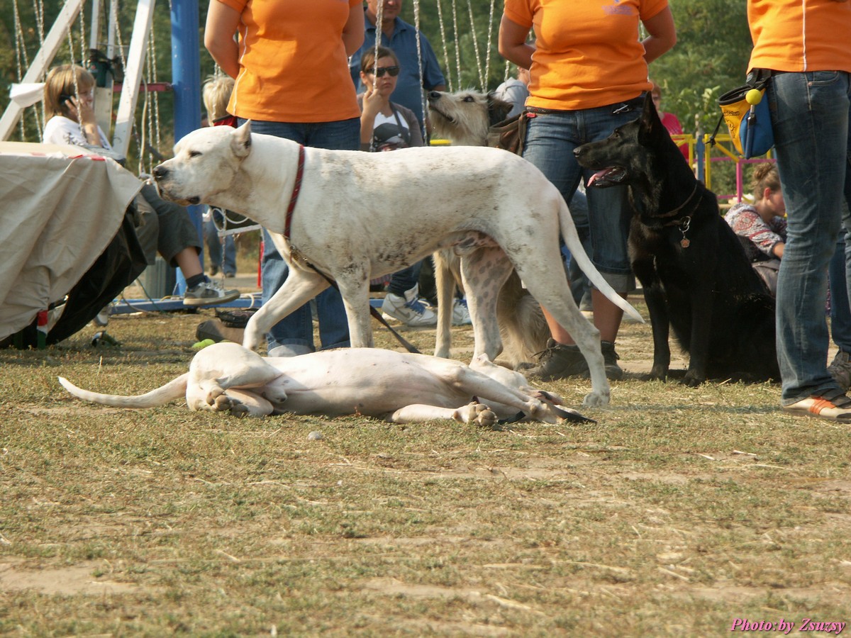 pict7156.jpg