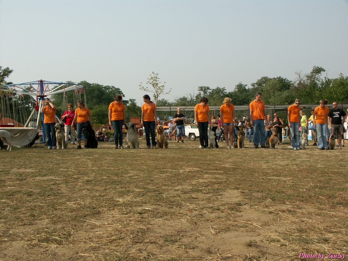 pict7158.jpg