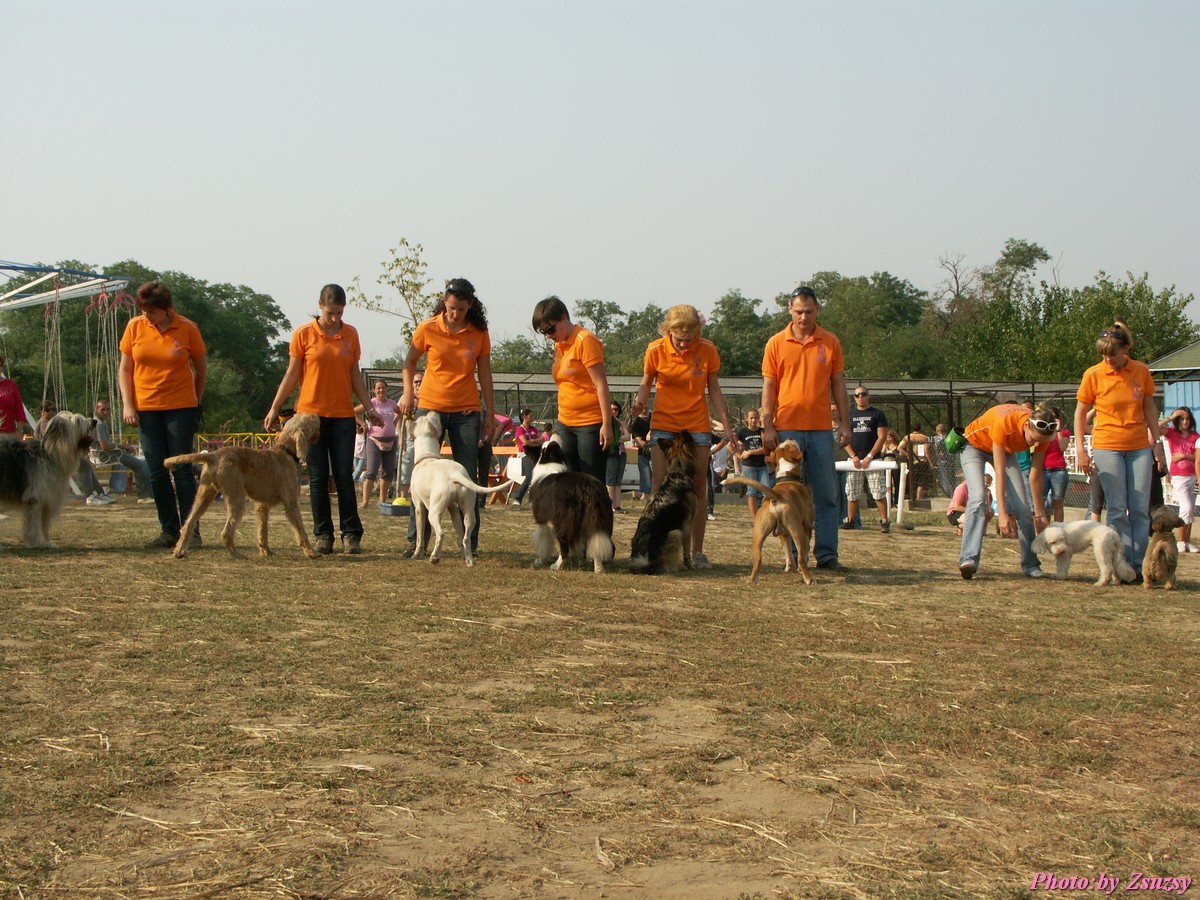 pict7166.jpg