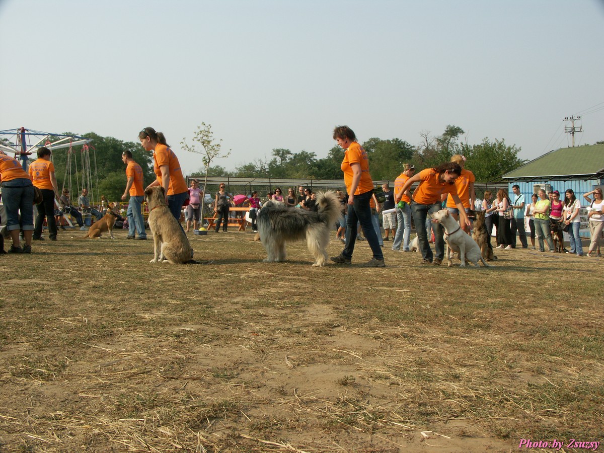 pict7189.jpg