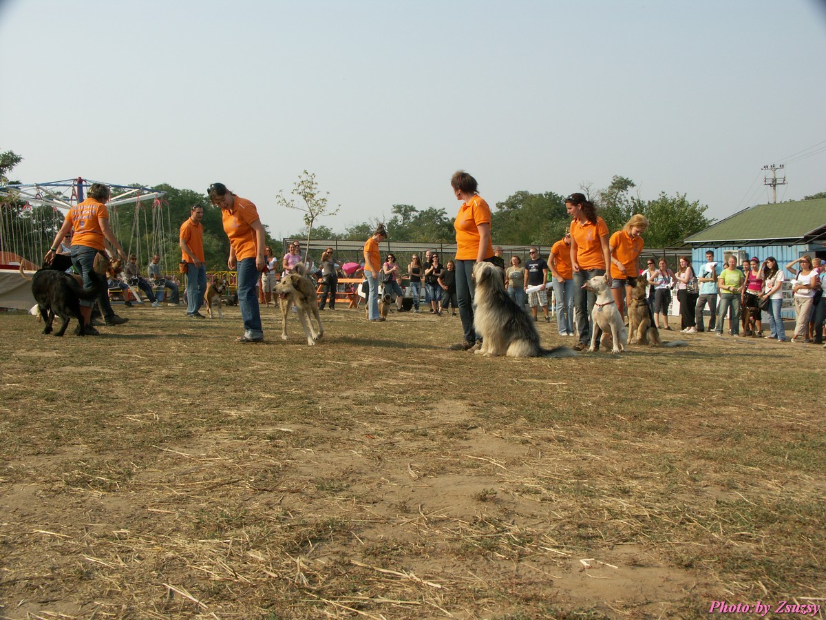 pict7193.jpg