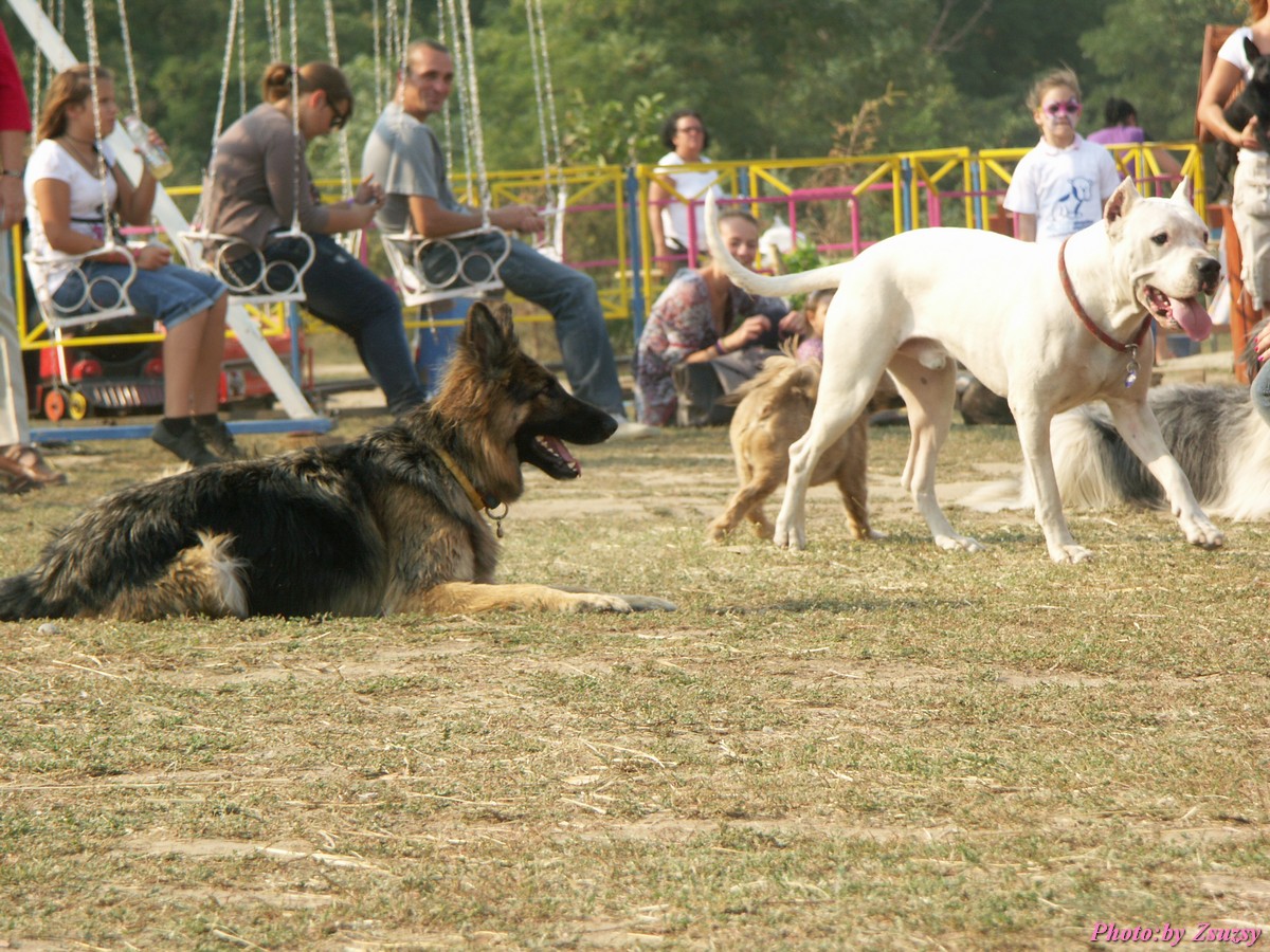 pict7205.jpg