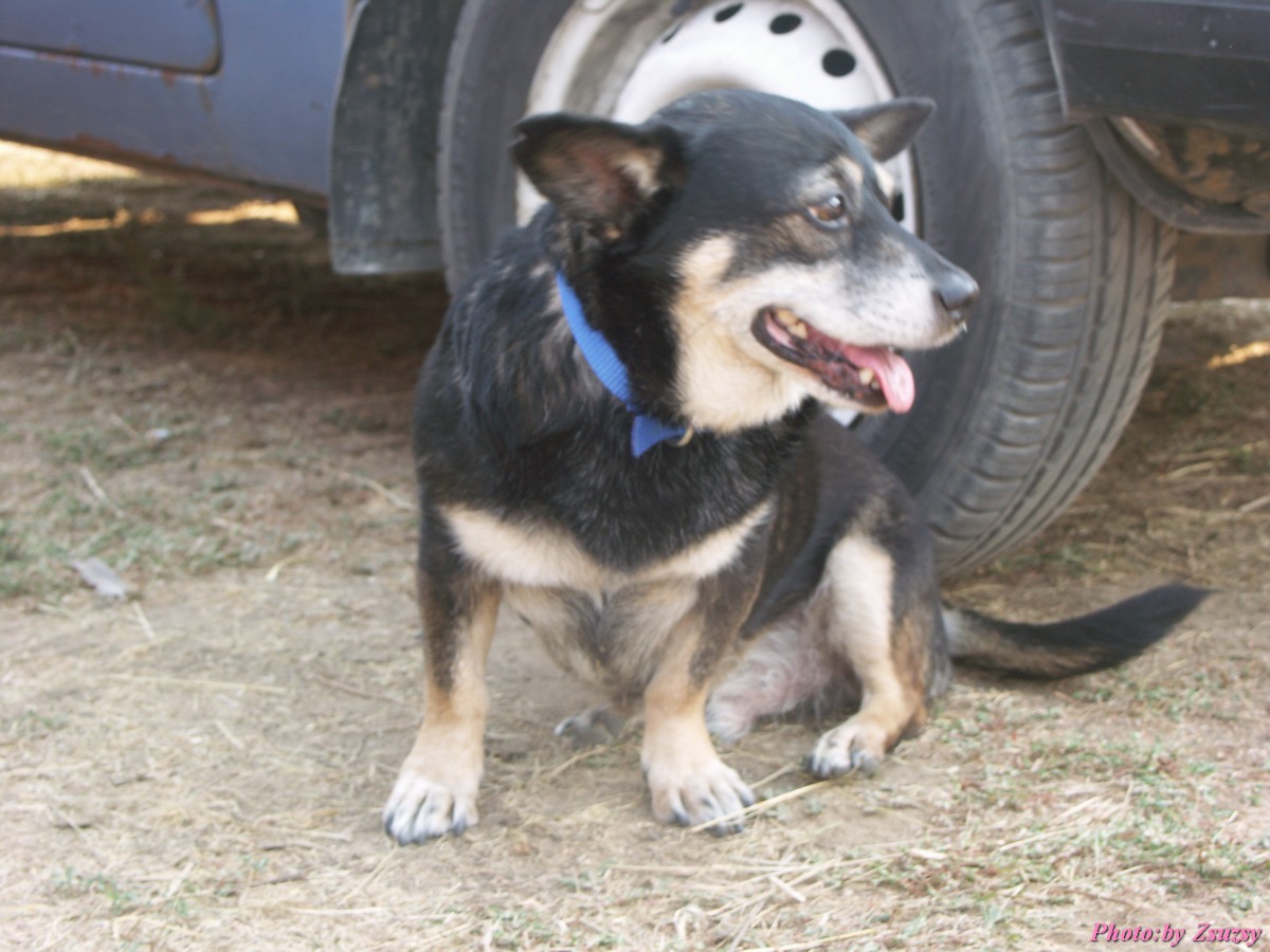 pict7256.jpg