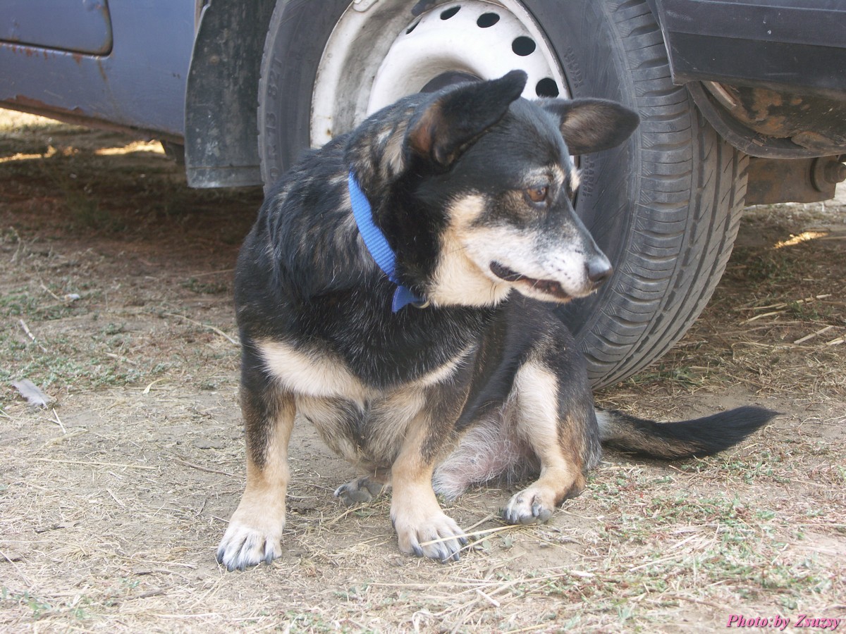 pict7257.jpg