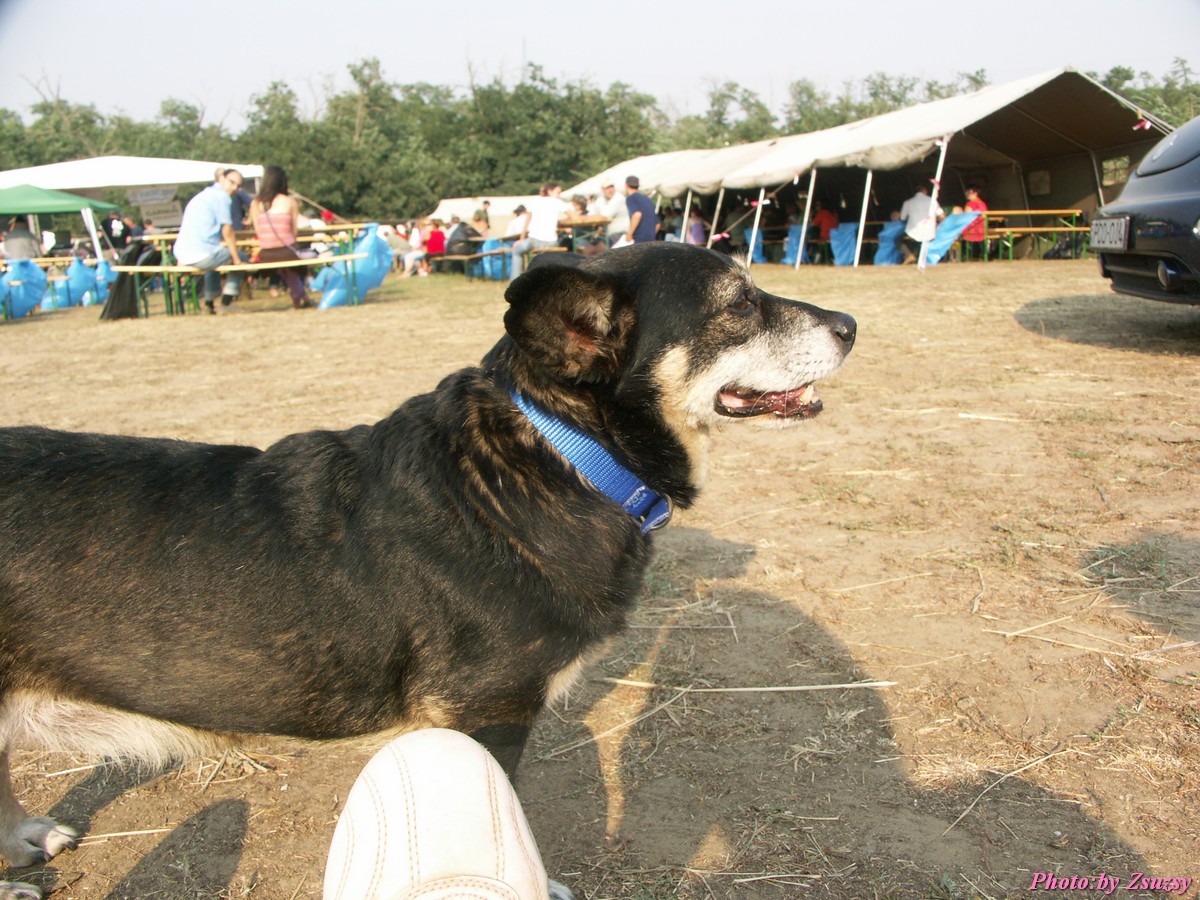pict7263.jpg