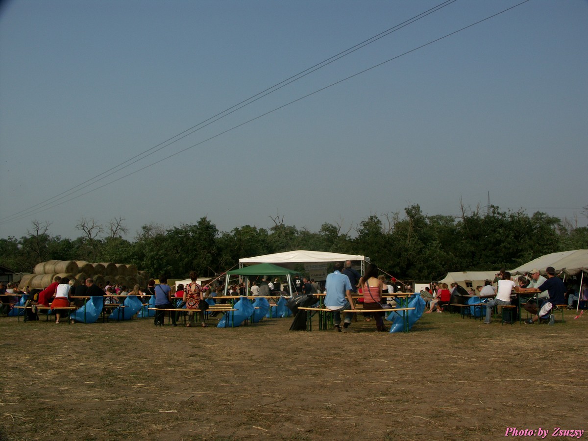 pict7265.jpg