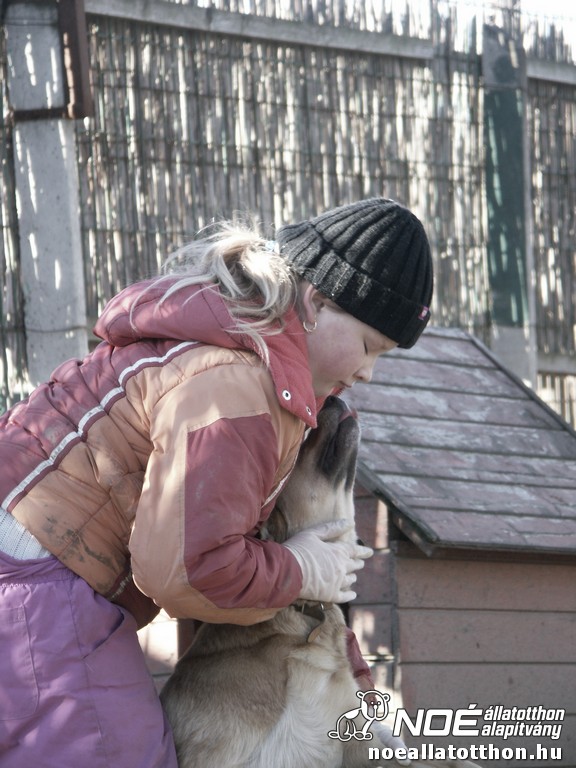 pict7269_3.jpg