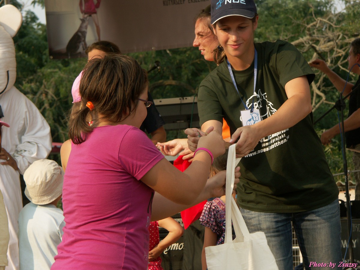 pict7319.jpg