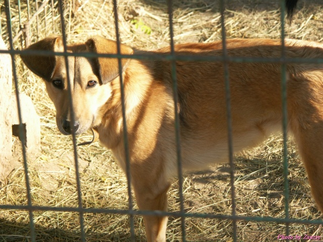 pict7469_2.jpg