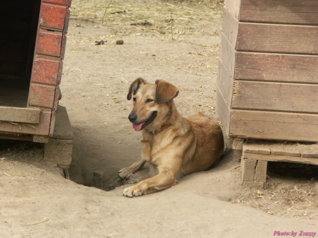 pict8056_2.jpg
