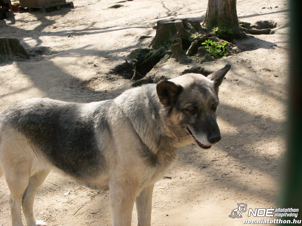 pict9859_3.jpg