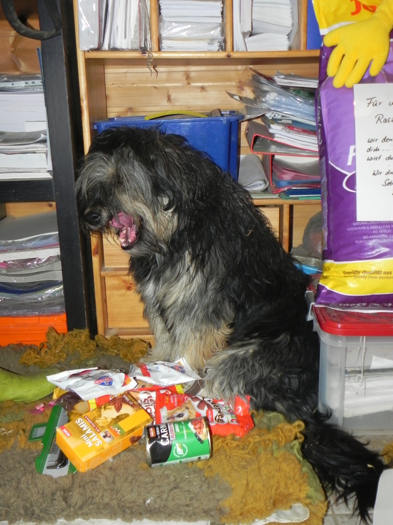 rdiek_054.jpg