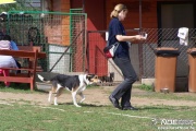 100_4052.jpg