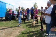 100_4138.jpg