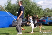 100_4250.jpg