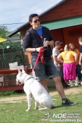 100_4284.jpg