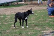 100_4396.jpg