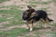 100_4548.jpg