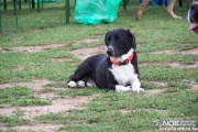 100_4731.jpg