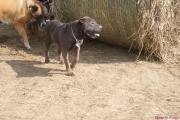 DSC01180.jpg