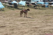DSC01643.jpg